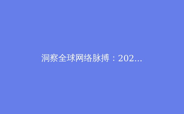洞察全球网络脉搏：2024年VPN技术趋势与安全应用深度解析 - 3