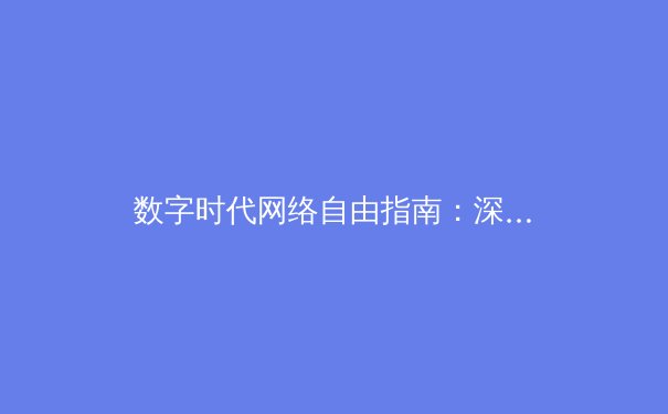 数字时代网络自由指南：深度解析VPN技术演进与全球资讯格局 - 2