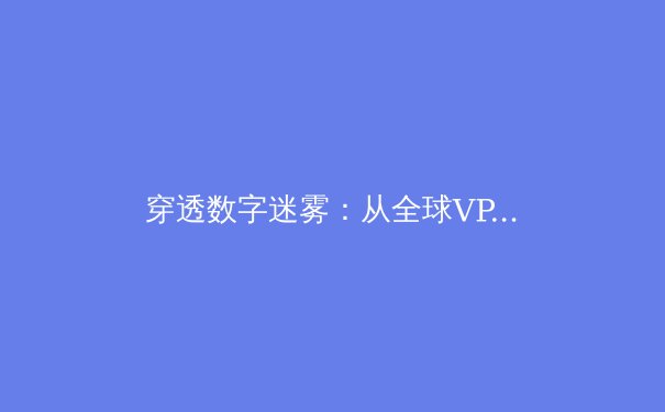 穿透数字迷雾：从全球VPN趋势洞见网络安全与自由访问的未来 - 3